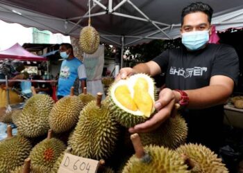 SHAMSOL Abdul Aziz menunjukkan buah durian yang dituai dari kebunnya yang dijual di gerai sementara di Tanjong Tokong, Pulau Pinang.