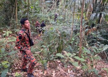 OPERASI mencari dan menyelamat (SAR) budak Orang Asli, Kamaliah Anab yang dilaporkan hilang dalam hutan di Kampung Selaur berhampiran Kampung Padang Jeri dekat Gerik. - FOTO/IHSAN JBPM PERAK