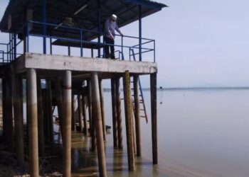 KEADAAN air Tasik Bukit Merah dekat Bagan Serai yang surut berikutan tiada hujan sejak hampir sebulan. – FOTO/WAT KAMAL ABAS