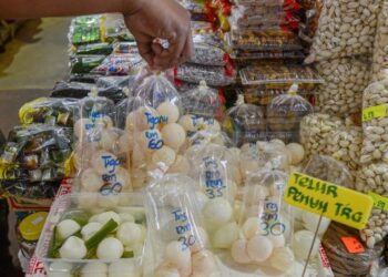 AKTIVITI ‘penyu terbang’ dan jualan telur secara haram mengancam spesies itu khususnya penyu belimbing. 
– UTUSAN/PUQTRA HAIRRY ROSLI