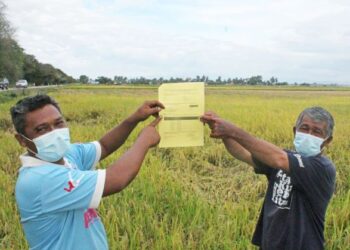 MOHD. Yusri Mustafa (kiri) dan Lee Seng Wye menunjukkan surat akujanji yang perlu ditandatangani petani berkaitan pembekalan benih padi di Kepala Batas, Pulau Pinang, semalam. – UTUSAN/ MOHAMMAD FIRDAUS AMRAN