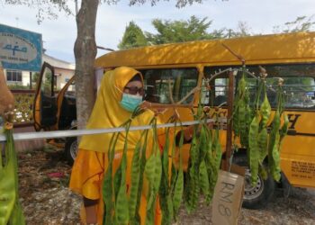 NOR Aizan Sulong, kini menjual petai selepas hilang pendapatan kerana perkhidmatan van sekolah yang tidak dapat beroperasi 
ketika ditemui di Kampung Binjai di Kemaman, semalam ini. - NIK NUR IZZATUL HAZWANI NIK ADNAN