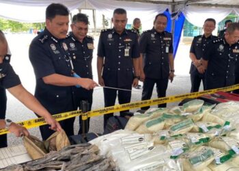 SEBAHAGIAN daripada pelbagai jenis dadah bernilai RM16.89 juta yang dirampas dalam tempoh 2005 sehingga tahun lalu dilupuskan Polis Kuala Lumpur hari ini.