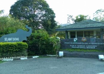 BANGUNAN utama Pusat Konservasi Gajah Kebangsaan Kuala Gandah Lanchang Pahang.