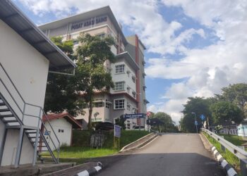 Pasum di Universiti Malaya  ditubuhkan Allahyarham Profesor Diraja Ungku Abdul Aziz Ungku Abdul Hamid bagi memastikan para pelajar dididik oleh pensyarah berkelulusan sarjana dan doktor falsafah (PhD).