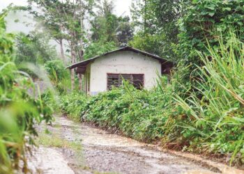 JALAN yang dikatakan menjadi laluan ke kem penempatan sementara dan kubur besar yang menempatkan 139 mayat dalam isu pemerdagangan manusia pada 2015 di Wang Kelian, Padang Besar. - UTUSAN/IZLIZAN OTHMAN