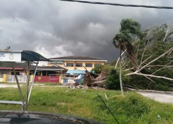 KEADAAN pokok yang tumbang akibat ribut di Manjung, Perak. - IHSAN JBPM