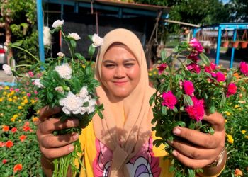 SITI Aida Ramli menunjukkan keratan bunga ros Jepun yang diusahakan di laman rumahnya di Kampung Padang Siding, Perlis.   UTUSAN/MOHD. HAFIZ ABD. MUTALIB