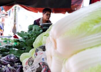 KES lambakan sayur-sayuran di Cameron Highlands baru-baru ini memperlihatkan kelemahan dalam sistem pengurusan maklumat, data berkaitan penawaran dan permintaan.