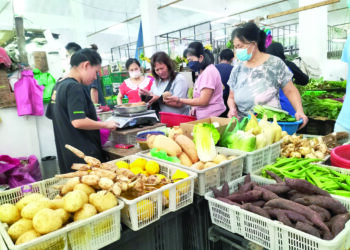 Kerajaan disaran menghentikan eksport sayur dan memastikan bekalan tempatan mencukupi supaya harganya lebih stabil.