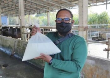 KHAIRUL Izzat Amir Ismail menunjukkan susu kerbau segar ladang ternakan kerbau, Menamah Agrojaya di Ulu Melaka, Langkawi, Kedah. - UTUSAN/NUR AMALINA AZMAN