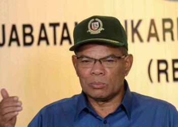 SAIFUDDIN NASUTION   ISMAIL