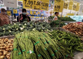 HARGA sayur-sayuran dijangka melambung tinggi di­se­babkan cuaca hujan yang menjejaskan bekalan dalam negara ketika ini.