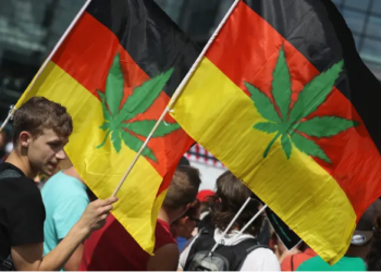 ORANG dewasa di Jerman turut dibenarkan memiliki 30 gram ganja untuk penggunaan sendiri. - AGENSI