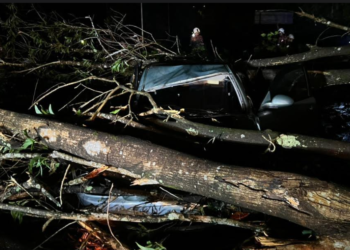 ANTARA kenderaan yang dihempap pokok akibat kejadian ribut di Jalan Lencongan Timur, Sungai Petani.