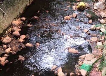 KERAJAAN Negeri Selangor sedang mengkaji kaedah terbaik bagi mengatasi masalah pencemaran air di Sungai Gong tidak berulang.