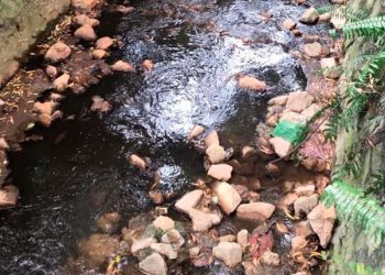 PIHAK berkuasa masih menyiasat punca air dari longkang besar berhampiran Sungai Gong, Rawang berwarna hitam.