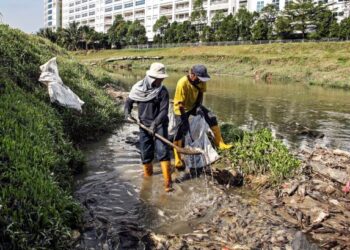 PEKERJA kontraktor syarikat swasta membersihkan sungai yang dipenuhi bangkai ikan di Sungai Damansara Seksyen 13, Shah Alam, semalam. – UTUSAN/ZULFADHLI ZAKI