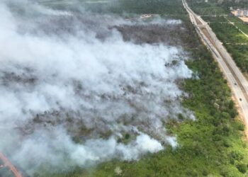 KAWASAN hutan tanah gambut di Rompin, Pahang yang terbakar sehingga ke hari ini.