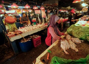 Kenaikan harga input pertanian dan kos lain boleh memberi kesan kepada sekuriti makanan negara pada masa hadapan jika langkah segera tidak diambil.-GAMBAR HIASAN
