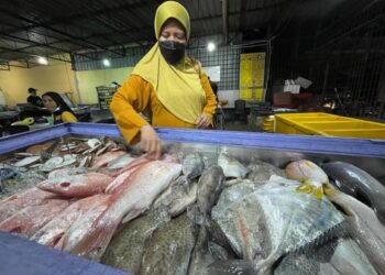 ZAILANI Ariffin menunjukkan pelbagai jenis ikan segar untuk pilihan pelanggan di Restoran Ibunda di Tok Bali, Pasir Puteh, semalam. 
– UTUSAN/TOREK SULONG