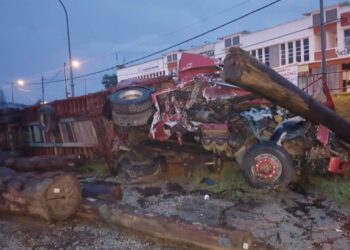 KEADAAN treler habuk kayu yang terbalik selepas dihempap sebatang balak di Kilometer 159 Jalan Jerangau-Jabor berhampiran Bandar Baru Cheneh di Kemaman, Terengganu,  hari ini.