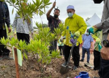 TUAN Mohd. Saripudin Tuan Ismail menanam pokok sebagai simbolik pelancaran sambutan Hari Alam Sekitar peringkat negeri Kelantan di Taman Bukit Gedombak, Pasir Puteh, hari ini. - FOTO/TOREK SULONG