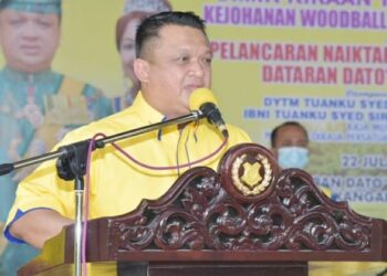 TUANKU SYED FAIZUDDIN PUTRA JAMALULLAIL