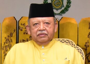 TUANKU SYED SIRAJUDDIN JAMALULLAIL