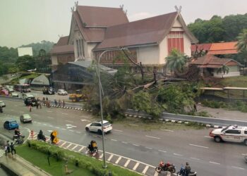 SEBATANG pokok tumbang dekat Jalan Travers  berhampiran Stesen MRT Muzium Negara menghalang laluan dari Bangsar ke bulatan Masjid Negara.