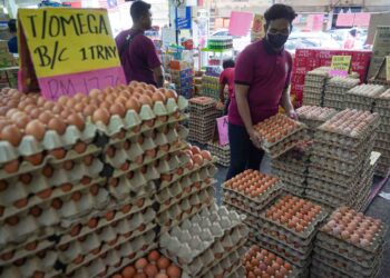 Jabatan Perkhidmatan Veterinar sentiasa memastikan pengeluaran telur ayam Omega mengikut piawaian yang ditetapkan. – UTUSAN/SHIDDIEQIIN ZON