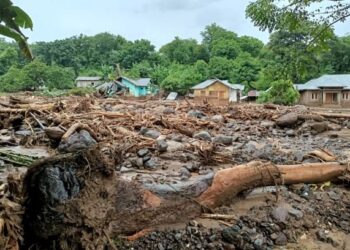 KEADAAN di bandar Adonara, Flores Timur akibat banjir kilat dan tanah runtuh di Indonesia dan Timor Leste. - AFP