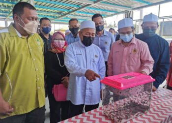 TUAN Ibrahim Tuan Man (tengah) melihat lalat BSF yang diternak dalam ruang khas bagi melupuskan bahan sisa organik di Pasar Borong Tanah Merah hari ini. - UTUSAN/ROSALWANI CHE SOH