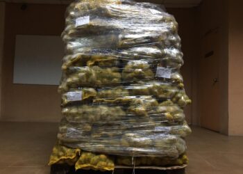UBI kentang seberat 850kg yang cuba diseludup keluar ke Singapura tanpa permit eksport sah di KSAB, Johor.
