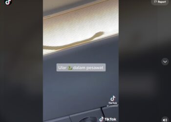 TANGKAP layar memaparkan kelibat seekor ular merayap di siling pesawat AirAsia yang terbang dari Kuala Lumpur menuju ke Tawau kelmarin. – IHSAN TV ALHIJRAH