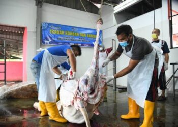 KAKITANGAN Unimap bergotong-royong melapah daging korban pada program ibadah korban dan akikah 2021 Unimap di tapak sembelihan swasta, Mata Ayer, Arau, Perlis semalam.- UTUSAN