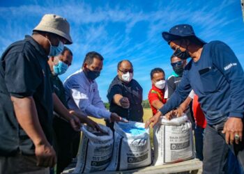 NOOR Arifin Othman (tengah) dan Shaharudin Bakar (tiga dari kiri) bersama para petani menunjukkan baja urea biru pada program Pengurusan Tanaman Padi Bersepadu (PTPB) Petronas-Pertubuhan Peladang Kebangsaan (Nafas) di Kampung Nam Dam, Kubur Panjang, Pendang baru-baru ini. – FOTO/SHAHIR NOORDIN