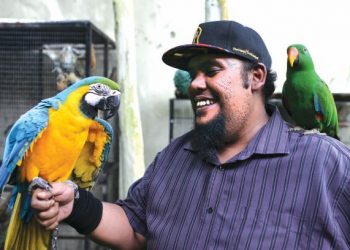 Mohd. Fairuz Mohd. Azman menunjukkan Blue Yellow Macaw (kiri) dan Red Crowned Amazon (kanan) di Shah Alam, Selangor.