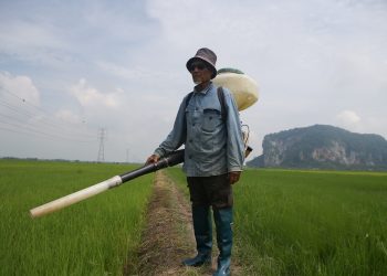 WALAUPUN usia mencecah 73 tahun, Aziz Saad masih bertenaga menjalankan kerja-kerja di sawah padi miliknya di Sungai Baru, Mukim Gunung Keriang, Alor Setar.  Foto: SHAHIR NOORDIN