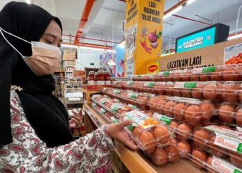 MELALUI penghasilan telur omega maka ladang-ladang pengeluar telur boleh mengelak kawalan harga kerajaan dan menetapkan harga telur omega masing-masing tanpa diselia dan dipantau.