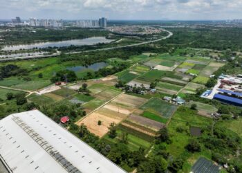 Kebun sayur di Pulau Meranti yang diusahakan oleh pendatang asing tanpa izin (PATI).