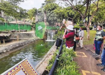 Pengunjung memberi makan kepada singa di Zoo Melaka, Ayer Keroh.