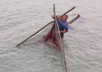 Amir Hamzah, 54, menyungkur udang geragau bagi mencari sumber rezeki di persisiran Pantai Puteri, Melaka.- Gambar RASUL AZLI SAMAD