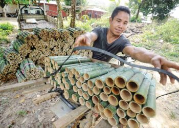 BAZLI Ewa menyusun batang-batang buluh lemang sebelum ia dibeli oleh peraih-peraih di Kampung Tohor, Chennah, Jelebu, Negeri Sembilan, semalam. – mingguan/MOHD. SHAHJEHAN MAAMIN