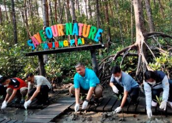HANIS Musalman (dua kiri) bersama Pengarah Bahagian Domestik dan Acara Tourism Malaysia, Iskandar Mirza Mohd. Yusof (tiga kanan) menanam pokok bakau ketika Program Tanjung Piai Clean-Up dan Pulau Kukup Mangrove di Pontian, Johor.