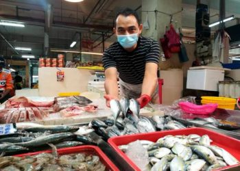 Harga ikan di seluruh negara naik sedikit berbanding tempoh sama pada tahun lalu. - FOTO/MOHAMAD FAIZAL HASHIM