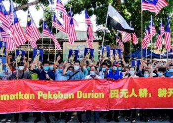 PEKEBUN durian mengadakan demonstrasi aman di Sungai Ruan pada 25 Ogos bagi membantah tindakan pengambilalihan pengurusan ladang durian mereka di Raub, Pahang baru-baru ini.