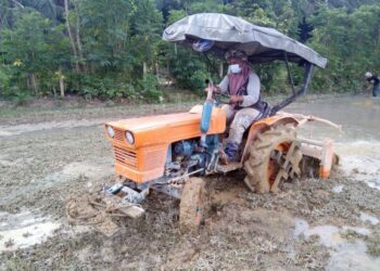 KHADIJAH Shamsudin mengendalikan traktor membajak sawah padi Kampung Gintong di Jerantut, Pahang. – UTUSAN/HARIS FADILAH AHMAD