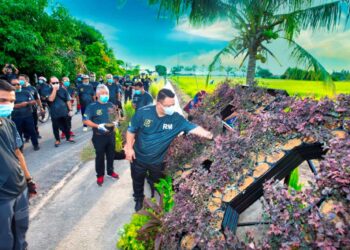 TUANKU Syed Faizuddin Putra Jamalullail (kanan) berkenan merasmikan Sambutan Jubli Emas MADA Peringkat Negeri Perlis di kawasan sawah berdekatan Sekolah Kebangsaan (SK) Ujong Batu, Kangar, semalam.