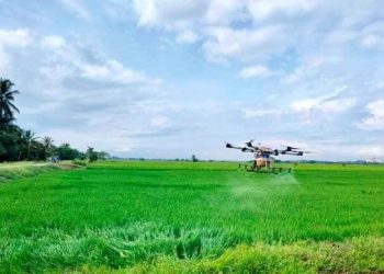 PENGGUNAAN dron dalam industri penanaman padi bagi menggantikan kaedah penyemburan racun serangga secara manual dilihat semakin mendapat tempat dalam kalangan pesawah.